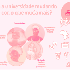 [Foto não Encotrada!]